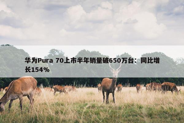 华为Pura 70上市半年销量破650万台：同比增长154%