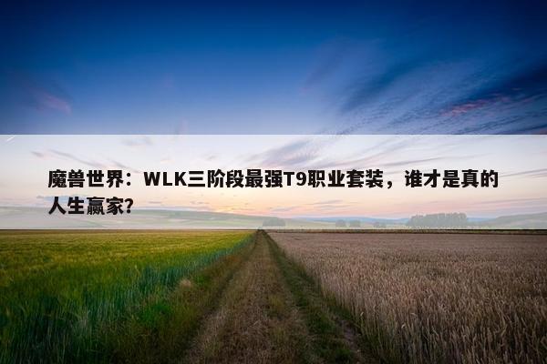 魔兽世界：WLK三阶段最强T9职业套装，谁才是真的人生赢家？