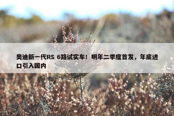 奥迪新一代RS 6路试实车！明年二季度首发，年底进口引入国内