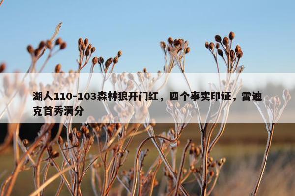 湖人110-103森林狼开门红，四个事实印证，雷迪克首秀满分