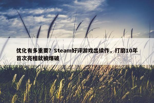 优化有多重要？Steam好评游戏出续作，打磨10年首次亮相就被爆破