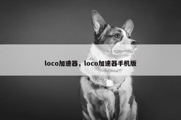 loco加速器，loco加速器手机版