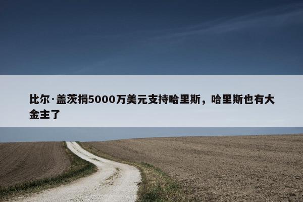 比尔·盖茨捐5000万美元支持哈里斯，哈里斯也有大金主了