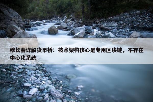 穆长春详解货币桥：技术架构核心是专用区块链，不存在中心化系统