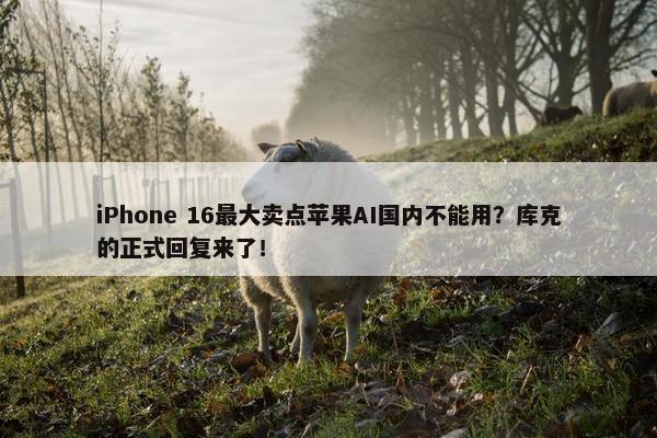 iPhone 16最大卖点苹果AI国内不能用？库克的正式回复来了！