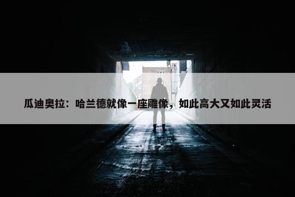 瓜迪奥拉：哈兰德就像一座雕像，如此高大又如此灵活