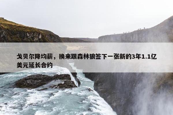 戈贝尔降均薪，换来跟森林狼签下一张新的3年1.1亿美元延长合约