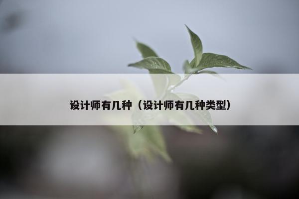 设计师有几种（设计师有几种类型）