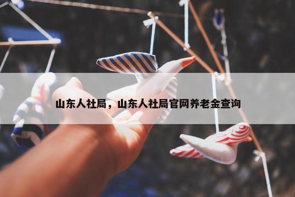 山东人社局，山东人社局官网养老金查询