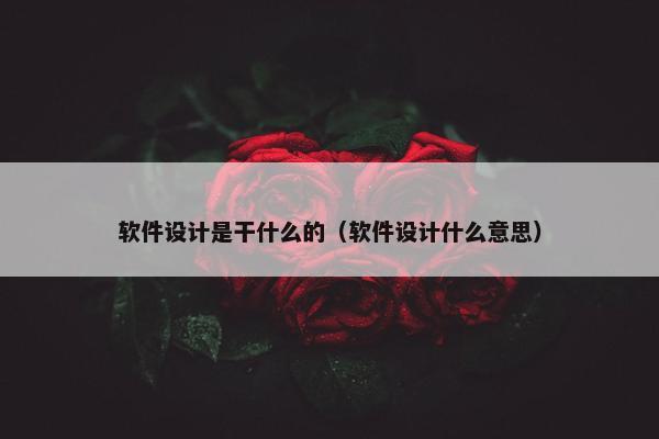 软件设计是干什么的（软件设计什么意思）