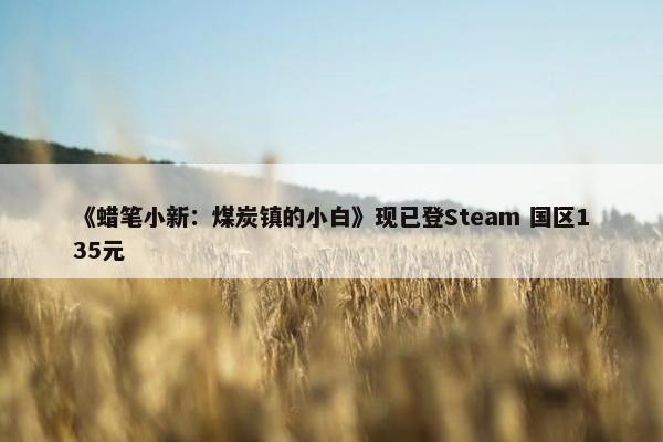 《蜡笔小新：煤炭镇的小白》现已登Steam 国区135元