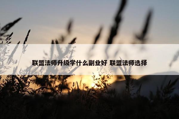 联盟法师升级学什么副业好 联盟法师选择