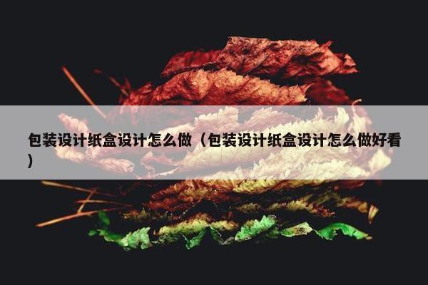 包装设计纸盒设计怎么做（包装设计纸盒设计怎么做好看）