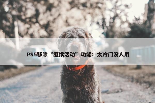 PS5移除“继续活动”功能：太冷门没人用