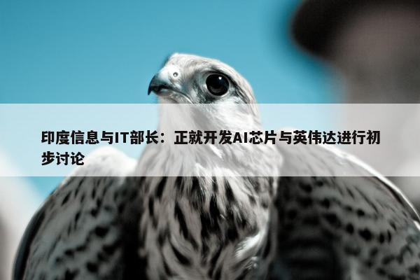 印度信息与IT部长：正就开发AI芯片与英伟达进行初步讨论