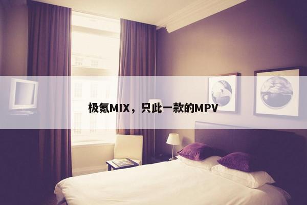 极氪MIX，只此一款的MPV