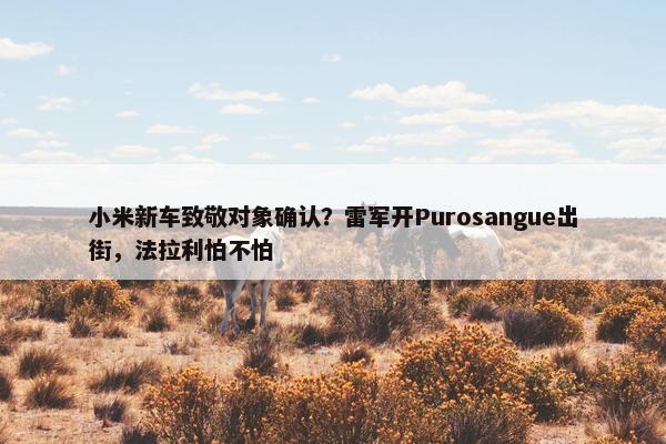 小米新车致敬对象确认？雷军开Purosangue出街，法拉利怕不怕