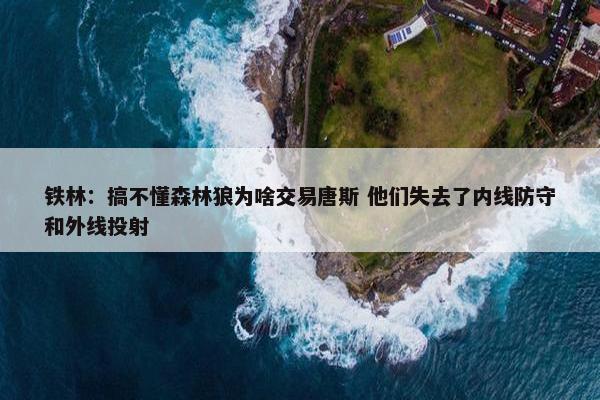 铁林：搞不懂森林狼为啥交易唐斯 他们失去了内线防守和外线投射