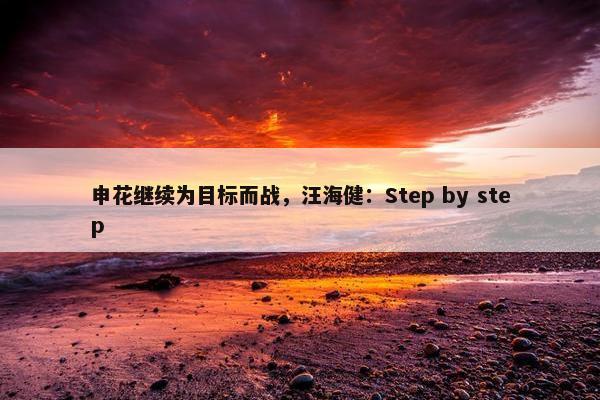 申花继续为目标而战，汪海健：Step by step