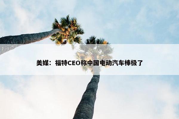 美媒：福特CEO称中国电动汽车棒极了