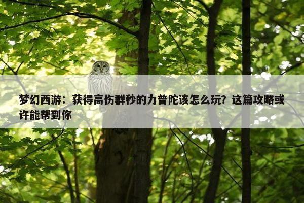 梦幻西游：获得高伤群秒的力普陀该怎么玩？这篇攻略或许能帮到你