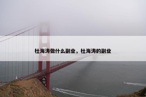 杜海涛做什么副业，杜海涛的副业