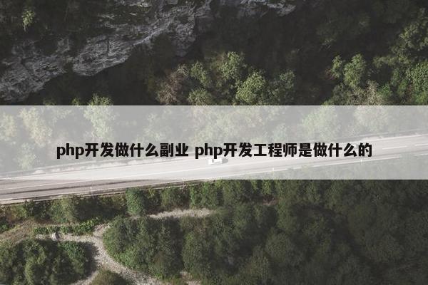 php开发做什么副业 php开发工程师是做什么的