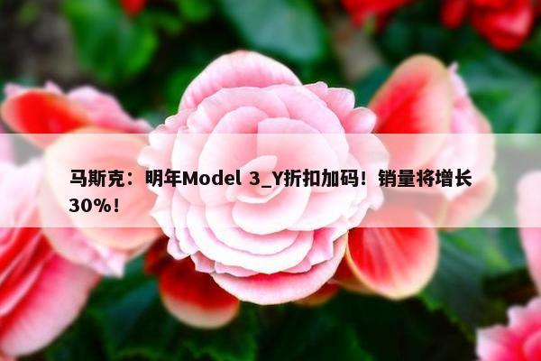 马斯克：明年Model 3_Y折扣加码！销量将增长30%！