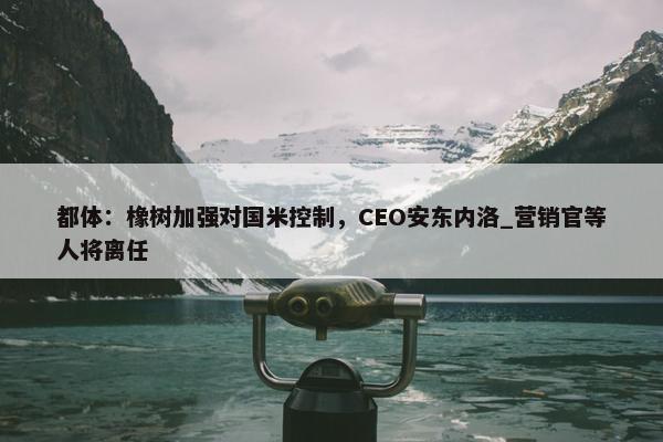 都体：橡树加强对国米控制，CEO安东内洛_营销官等人将离任