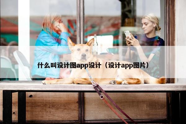 什么叫设计图app设计（设计app图片）