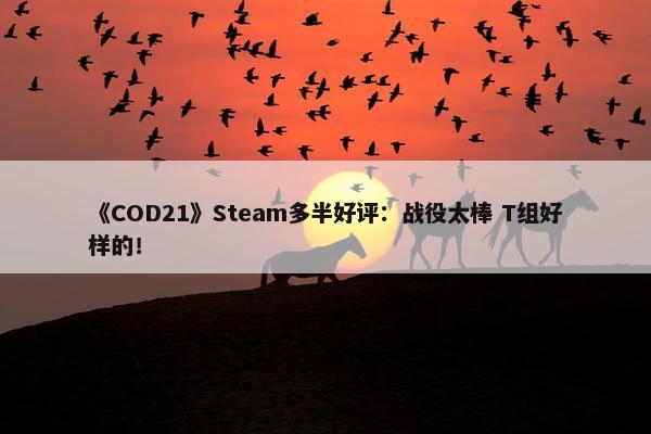 《COD21》Steam多半好评：战役太棒 T组好样的！