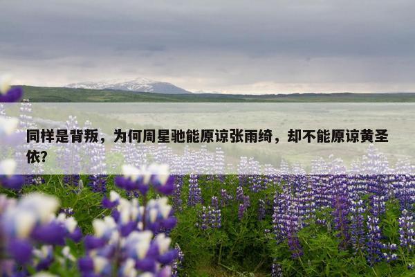 同样是背叛，为何周星驰能原谅张雨绮，却不能原谅黄圣依？