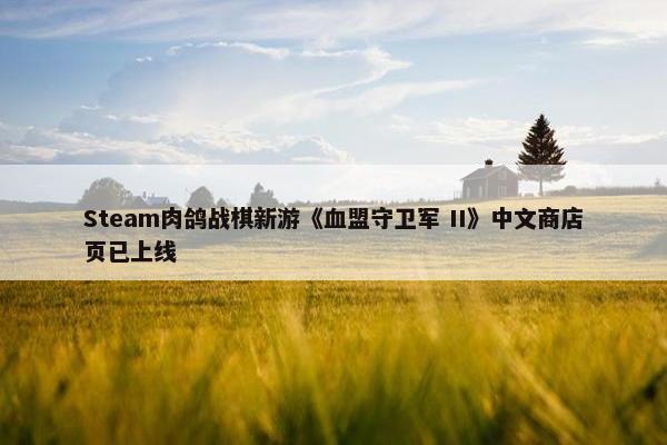 Steam肉鸽战棋新游《血盟守卫军 II》中文商店页已上线