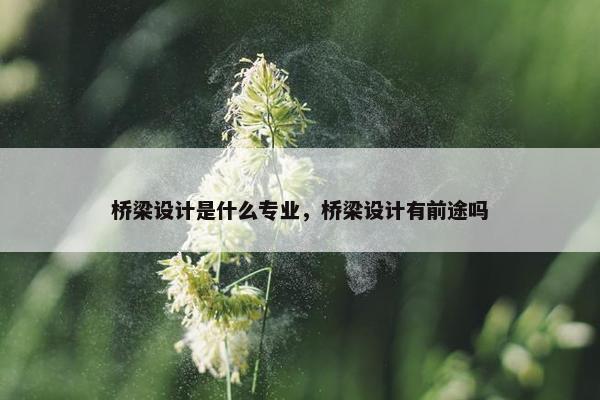 桥梁设计是什么专业，桥梁设计有前途吗