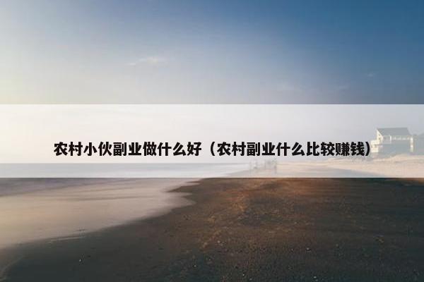 农村小伙副业做什么好（农村副业什么比较赚钱）