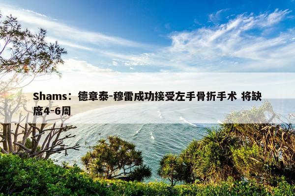 Shams：德章泰-穆雷成功接受左手骨折手术 将缺席4-6周