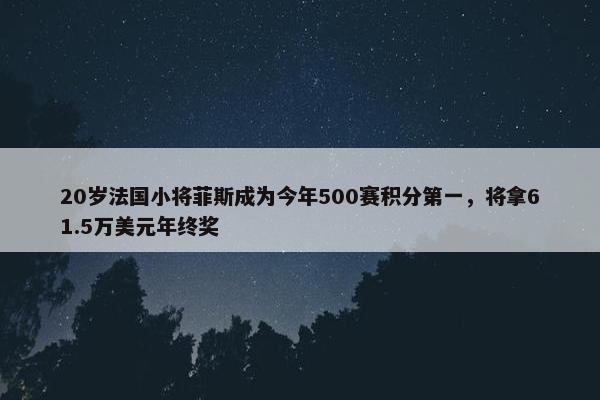 20岁法国小将菲斯成为今年500赛积分第一，将拿61.5万美元年终奖