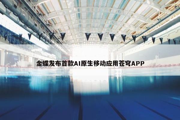 金蝶发布首款AI原生移动应用苍穹APP