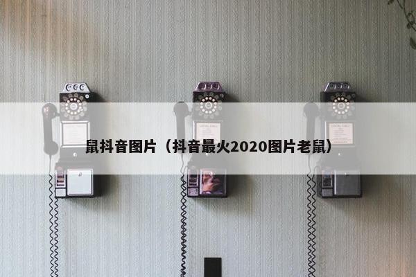 鼠抖音图片（抖音最火2020图片老鼠）