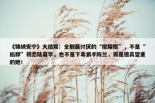 《锦绣安宁》大结局：全剧最讨厌的“搅屎棍”，不是“掐脖”初恋陆嘉学，也不是下毒狠手陈兰，而是德高望重的她！