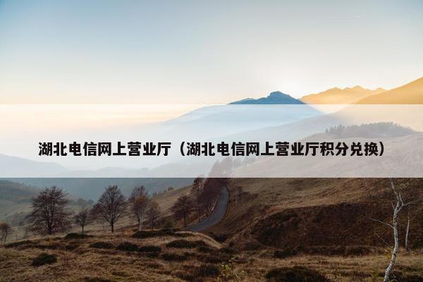 湖北电信网上营业厅（湖北电信网上营业厅积分兑换）