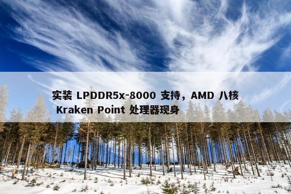 实装 LPDDR5x-8000 支持，AMD 八核 Kraken Point 处理器现身