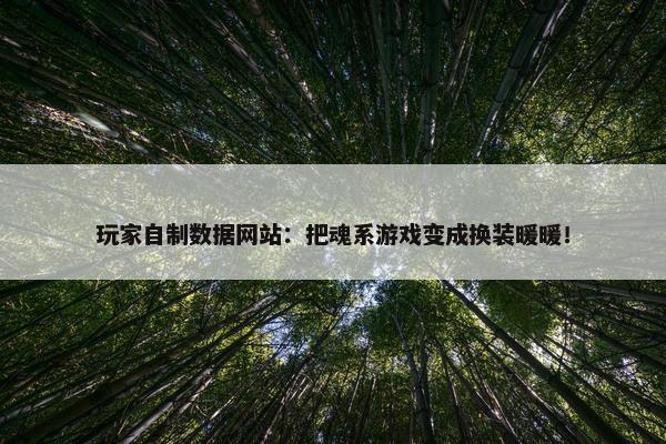 玩家自制数据网站：把魂系游戏变成换装暖暖！