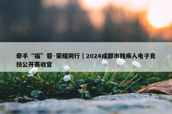 牵手“福”蓉·荣耀同行｜2024成都市残疾人电子竞技公开赛收官