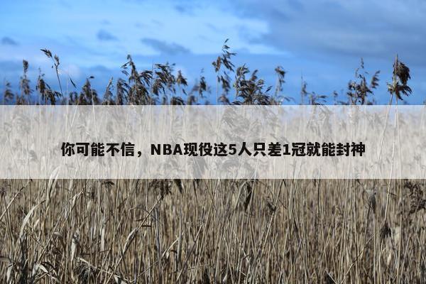 你可能不信，NBA现役这5人只差1冠就能封神