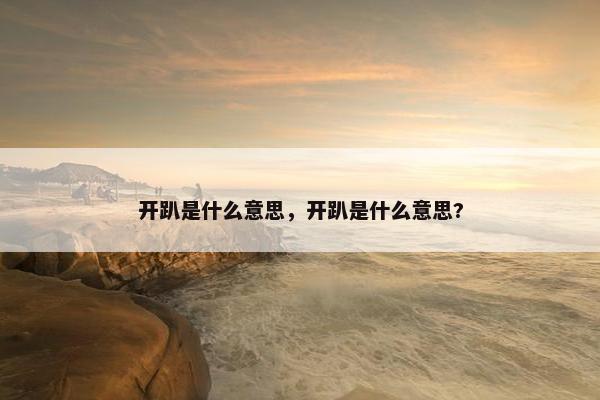 开趴是什么意思，开趴是什么意思?