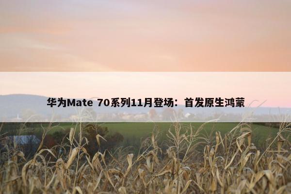 华为Mate 70系列11月登场：首发原生鸿蒙