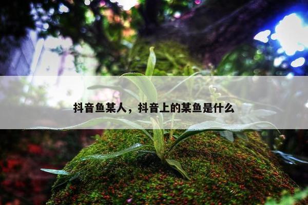 抖音鱼某人，抖音上的某鱼是什么