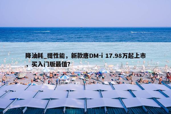 降油耗_提性能，新款唐DM-i 17.98万起上市，买入门版最值？