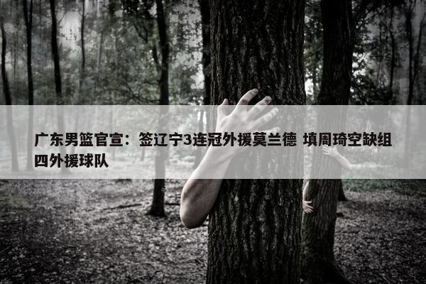 广东男篮官宣：签辽宁3连冠外援莫兰德 填周琦空缺组四外援球队